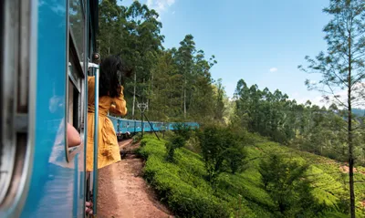 Woman taking the train ride in Sri Lanka tea plantations